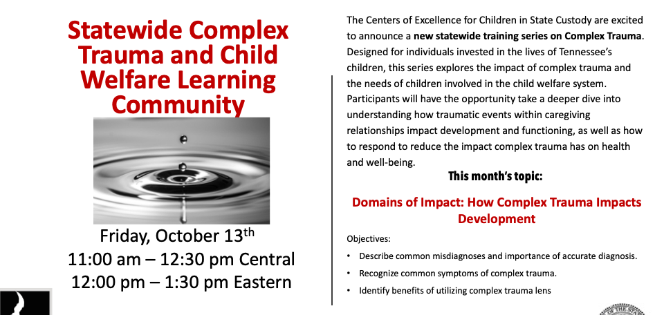 image of flyer for statewide complex trauma and child welfare community talk
