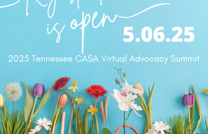 Tennessee CASA Virtual Advocacy Summit