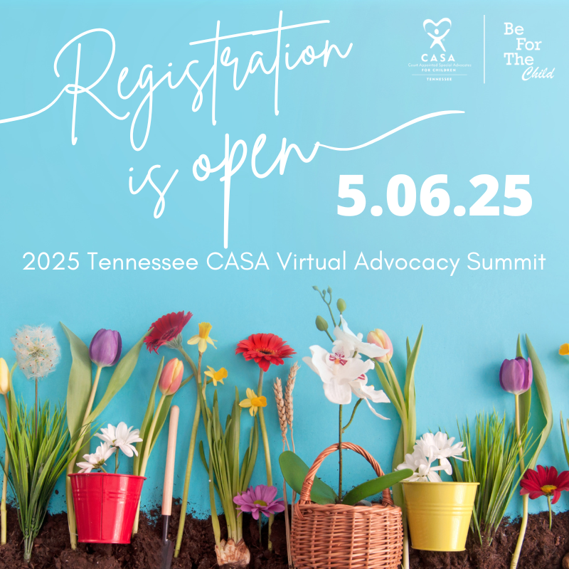 Tennessee CASA Virtual Advocacy Summit